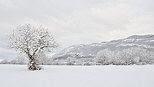 Photo d'un paysage rural enneig au pied de la montagne du Vuache