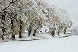 Image des premires neiges en Haute Savoie autour du village de Chaumont