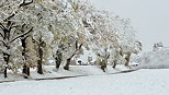 Photographie du village de Chaumont en Haute Savoie aprs les premires chutes de neige en automne