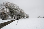 Image of a country road crossing a rural landscape with snow and fog