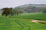 Image d'un paysage rural prs de Sillingy en Haute Savoie