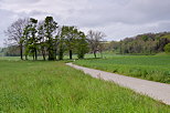 Photo d'un paysage rural travers par une route de campagne
