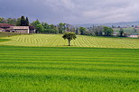 Photographie d'un paysage rural sous les nuages prs de Sillingy en Haute Savoie