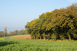 Photo d'un paysage de campagne ensoleill un matin d'automne