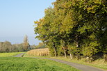 Photographie d'une route de campagne  travers un paysage rural