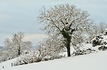 Photo d'un paysage de campagne sous la neige prs de Chaumont en Haute Savoie