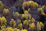 Image des couleurs d'automne sur les forts des montagnes de la Maurienne