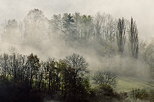 Photo d'arbres mergeant du brouillard dans la campagne de Haute Savoie