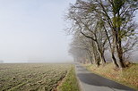 Photo du brouillard autour de la route des Daines  Chaumont en Haute Savoie