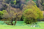 Image d'un chemin  travers la campagne colore par le printemps