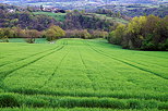 Photo d'un paysage rural verdoyant et chamar au printemps
