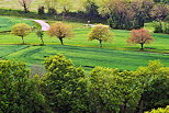 Photo d'arbres et de champs aux couleurs du printemps