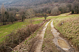 Photo d'un chemin  travers champs au pied de la montagne du Vuache