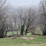 Image d'arbres en hiver  Savigny Haute Savoie