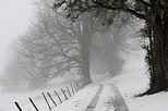 Photo d'un chemin  travers champ dans la neige et de brouillard prs de Savigny en Haute Savoie