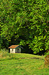 Photo d'une cabane  l'ore du bois en Haute Marne