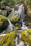 Photo d'un ruisseau cascadant  travers les rochers  Saparelle en Haute Corse