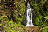 Image d'une petite cascade dans un ruisseau de printemps dans le Parc National des Cvennes