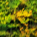 Photo abstraite de reflets d'automne dans l'eau du Rhne