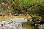 Image des berges de la Vzronce vers la cascade du Pain de Sucre