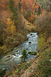Photo des couleurs d'automne dans la valle du Flumen