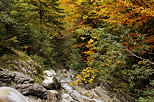 Image de fort de montagne en automne autour du ruisseau de la Diomaz en Haute Savoie