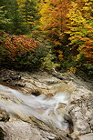 Photographie du ruisseau de la Dioma et des couleurs d'automne sur la fort
