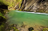 Image du Chran et de son eau verte dans le Parc Naturel Rgional du Massif des Bauges