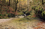 Image des couleurs d'automne dans les Gorges de l'Abme  Saint Claude dans le Jura