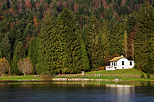 Image de l'automne  sur les bords du lac Gnin, Petit Canada du Haut Bugey