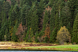 Photographie des berges du lac Gnin en automne dans le Haut Bugey