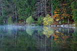 Photo d'un matin d'automne sur les berges du lac Gnin