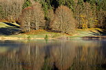 Photographie des couleurs d'automne sur les rives du lac Gnin