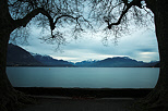 Photo du lac d'Annecy sous les platanes du parc de l'Imprial