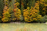 Photographie des couleurs d'automne dans la fort au bord du lac de Vallon  Bellevaux