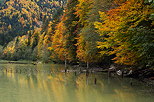 Image de l'ambiance et des couleurs d'automne sur les berges du lac de Vallon  Bellevaux