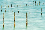 Photo de poteaux dans les eaux bleues du lac d'Annecy  Saint Jorioz