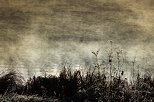 Photo des bords du lac Gnin dans le soleil et la brume d'un matin d'automne