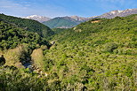 Photo des montagnes de Haute Corse dans la valle de l'Abatesco