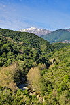 Photographie des montagnes de Haute Corse dans la valle de l'Abatesco